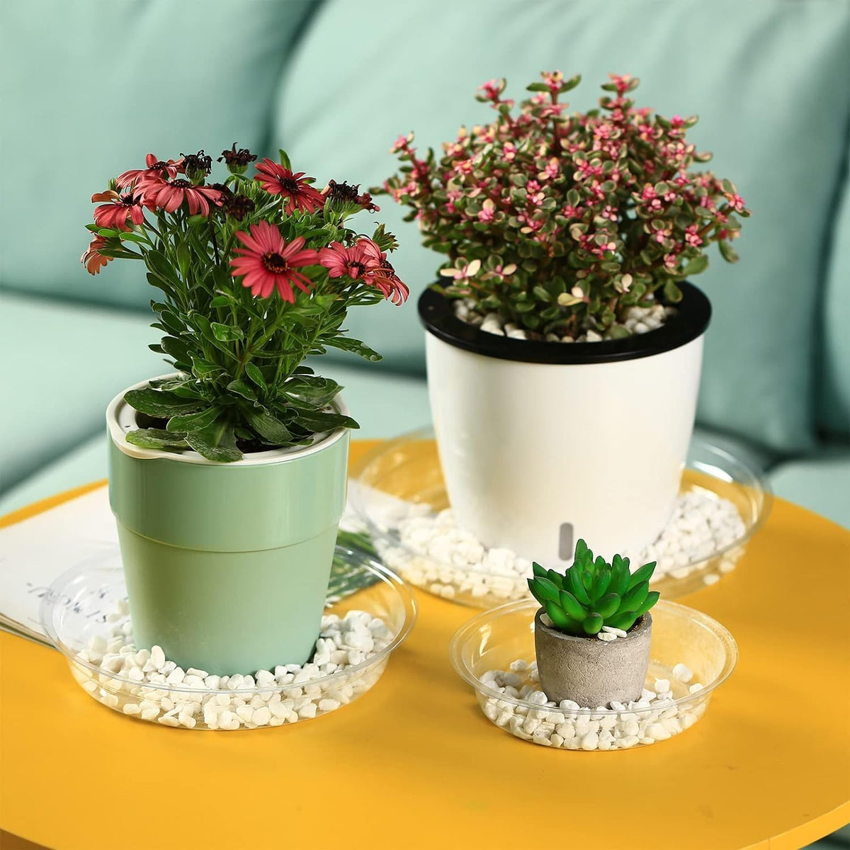 30 Packs 10 Inches Large Clear Plant Saucers for Indoor Outdoor Use Heavy Duty Plastic Plant Trays for Planter Bulk Flower Pot Drip Trays to Catch Water, 4 to 20 Inch