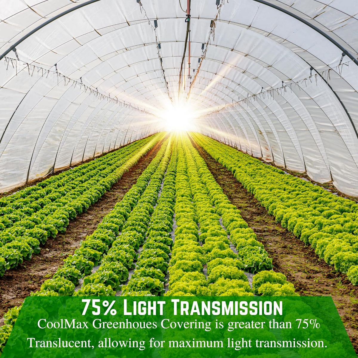 Farm Plastic Supply - Clear Coolmax Greenhouse Plastic Sheeting - 6 Mil - 4 Year UV Resistant Infrared Anti-Condensate Green House Covering Thermal Greenhouse Plastic 6 mil (50' x 50')