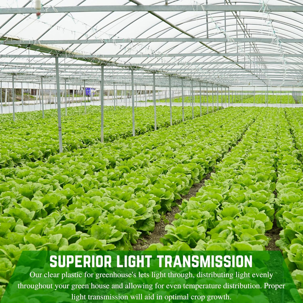 Farm Plastic Supply - String Reinforced 4 Year UV Resistant 10 mil Clear Greenhouse Plastic Sheeting - 4 Year UV Resistant Polyethylene Greenhouse Film, Hoop House Green House Cover (24' x 75')