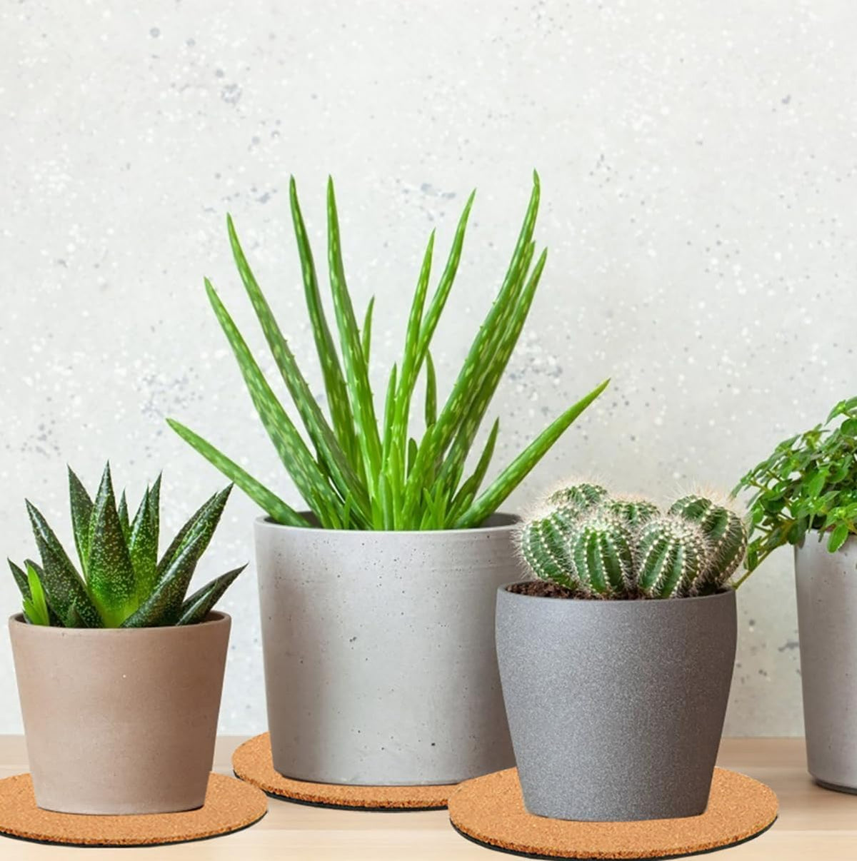 6 Pieces Cork Plant Coasters, 4 Inch Cork Plant Mats, Cork Coaster for Planters, Plant Coasters for House Plants Indoors (Nude & Black)