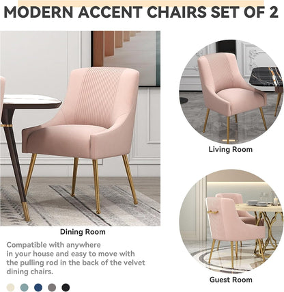 Modern Dining Chairs, Velvet Upholstered Dining Room Chairs with Gold Legs,Tufted Accent Chair Set of 2 for Reception Room Living Room Study Room(Pink)