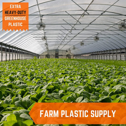 Farm Plastic Supply - Clear Greenhouse Plastic Sheeting - Ultra Durable - 8 mil - (50' x 60') - 4 Year UV Resistant Polyethylene Greenhouse Film for Gardening, Farming, Agriculture