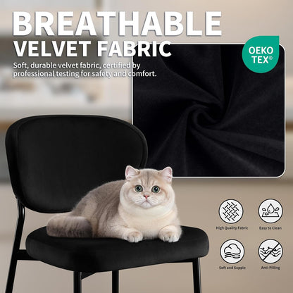STOOLINK Black Velvet Dining Chairs Set of 2, Upholstered Kitchen Chairs | Modern Dining Room Chairs w/ 58D Memory Foam Seat, Curved Back, Adjustable Foot Pins, for Living Room, Restaurant, 330LBS