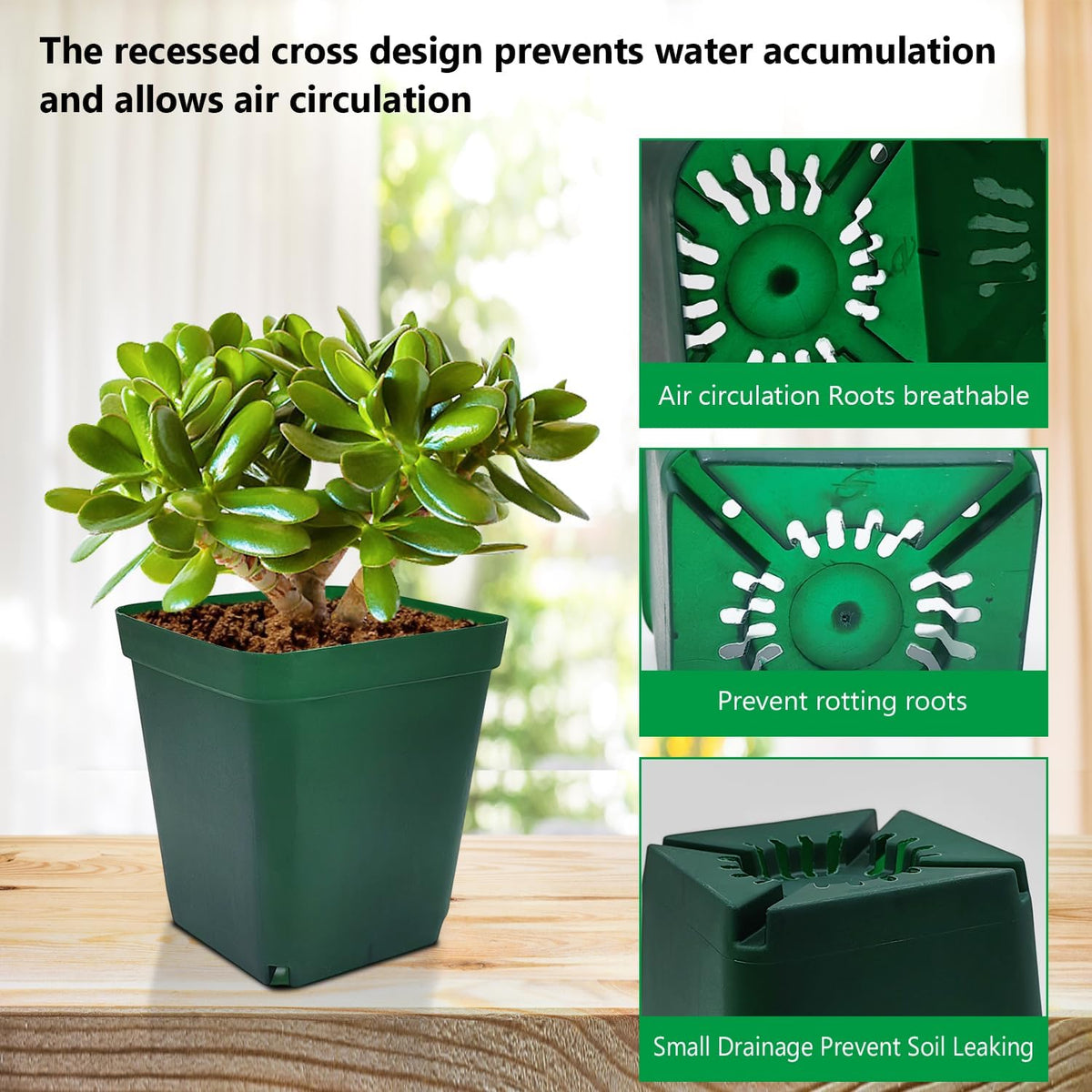 Square Nursery Succulent Pots 4 Inches 60 Pcs Deep Flower Plant Nursery Seedling Grow Pots Plastic with Drainage (Green, 4Inches, 60Pcs)