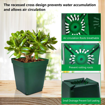 Square Nursery Succulent Pots 4 Inches 60 Pcs Deep Flower Plant Nursery Seedling Grow Pots Plastic with Drainage (Green, 4Inches, 60Pcs)