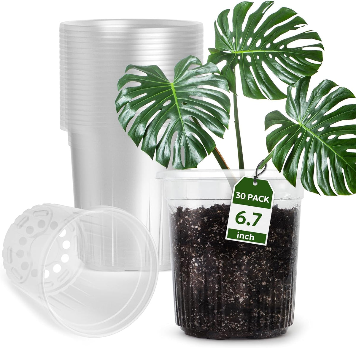 1 Gallon Reinforced Clear Nursery Pots with Drainage Hole, 30 Packs, 6.7 Inch Transparent Pots for Seedlings, Indoor/Outdoor Plants, Veggies, Flowers, and Professional Nursery Use