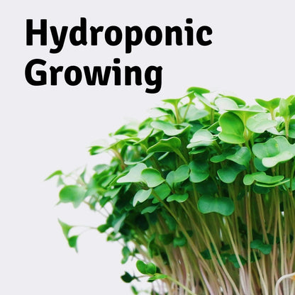 Micro-Mats Hydroponic Grow Pads - for Organic Production - 10 Pack - Plant & Seed Germination: Wheatgrass, Microgreens, More - for 20" x 10" Greenhouse Trays