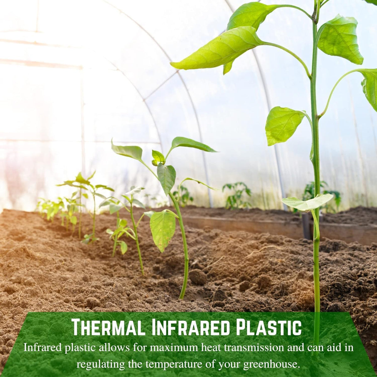 Farm Plastic Supply - Clear Coolmax Greenhouse Plastic Sheeting - 6 Mil - 4 Year UV Resistant Infrared Anti-Condensate Green House Covering Thermal Greenhouse Plastic 6 mil (20' x 100')