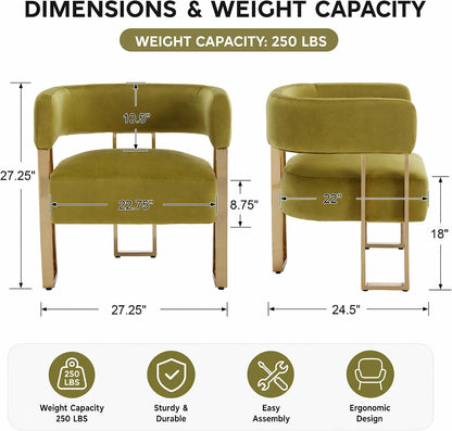 Modern Barrel Accent Chairs Set of 2, Living Room Side Chairs with Golden Metal Legs, Soft Velvet Reading Armchairs for Bedroom, Upholstered Club Chair for Reception Room/Office, Olive