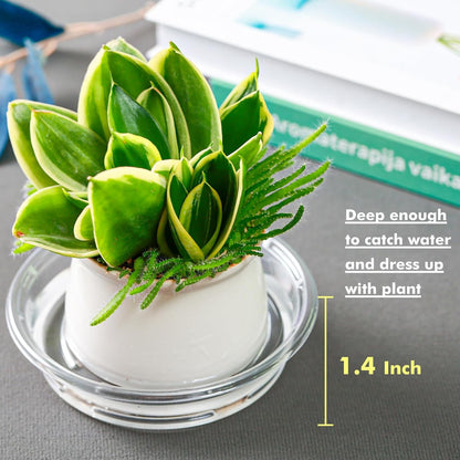 Plant Saucer 20 Pack Plant Trays for Pots 4 Inch Plastic Plant Saucers for Outdoors and Indoors Clear Drip Trays for Potted Plants Flower Pot Plates to Catch Water Plant Drainage Dishes No Holes