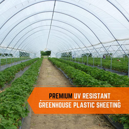 Farm Plastic Supply - Clear Greenhouse Plastic Sheeting - Ultra Durable - 8 mil - (50' x 35') - 4 Year UV Resistant Polyethylene Greenhouse Film for Gardening, Farming, Agriculture