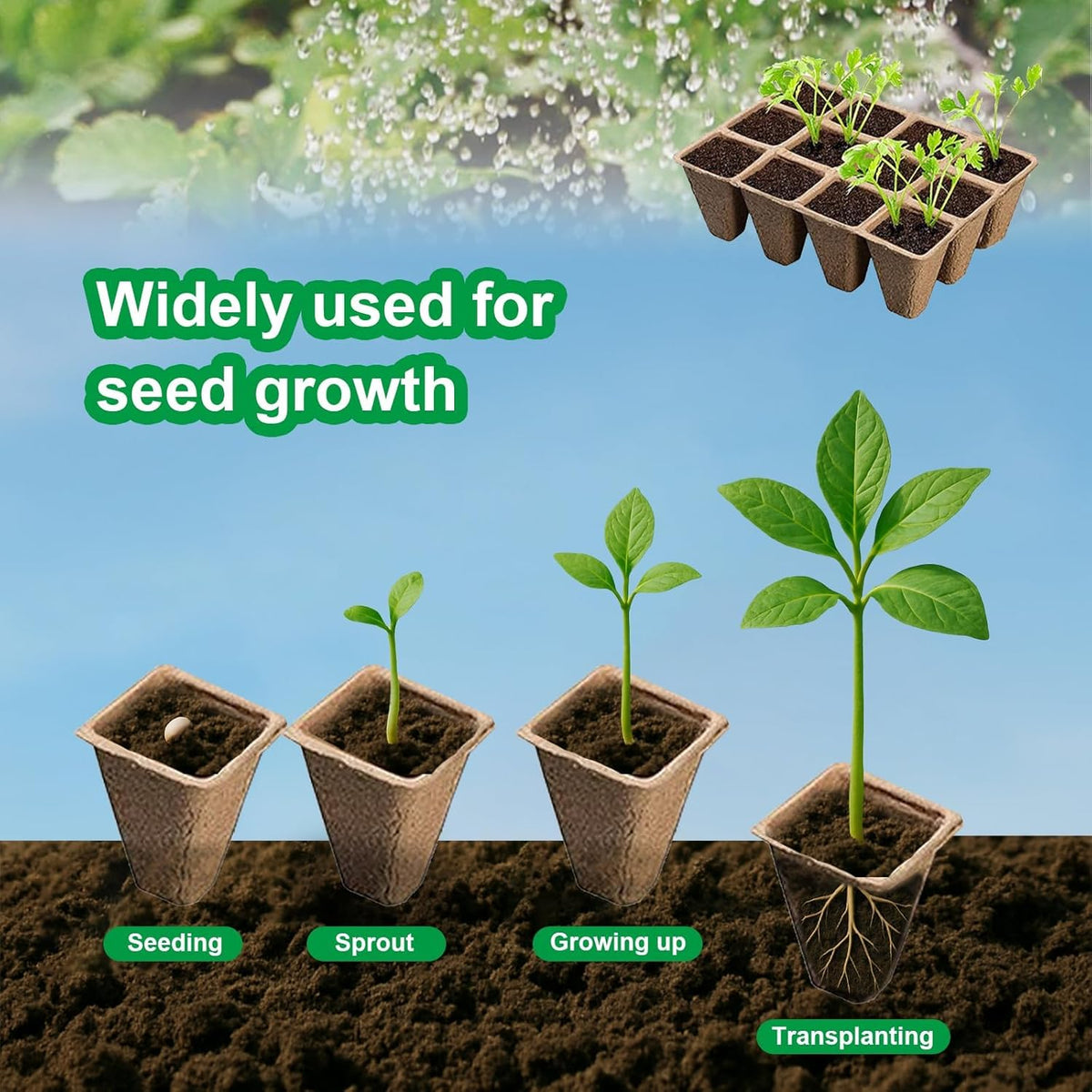 Seedling Starter Traysk,Biodegradable Seed Starter Trays for Seedlings,Eco-Friendly Peat Pots(60 Cells - 5 Pack)