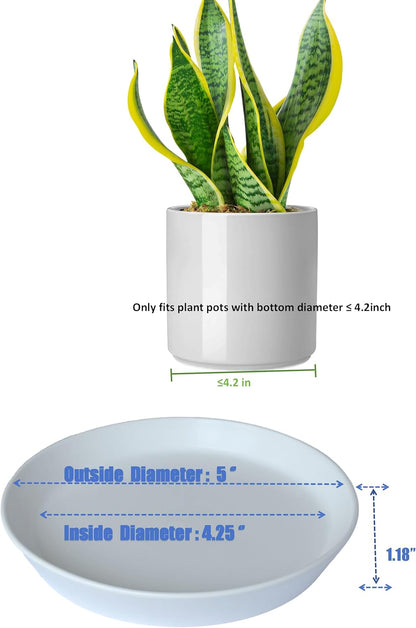 4 Pack of Plant Saucer, 5 inch Glazed Ceramic Plant Tray, Deep Drainage Tray for 4 Inch Flower Pot,Plant Dish Plate to Catch Water for Indoor & Outdoor