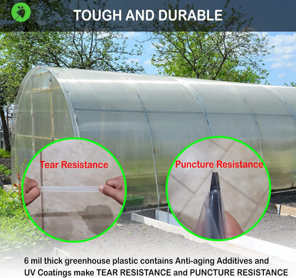 6 mil (24ft x 25ft) 100% Virgin Material. 5Layers Advanced Extrusion Technology for UV Protection, Anti-drip, Anti-Fog, Thermal and Strength. 4Years Lifetime UV Resistant Greenhouse Plastic