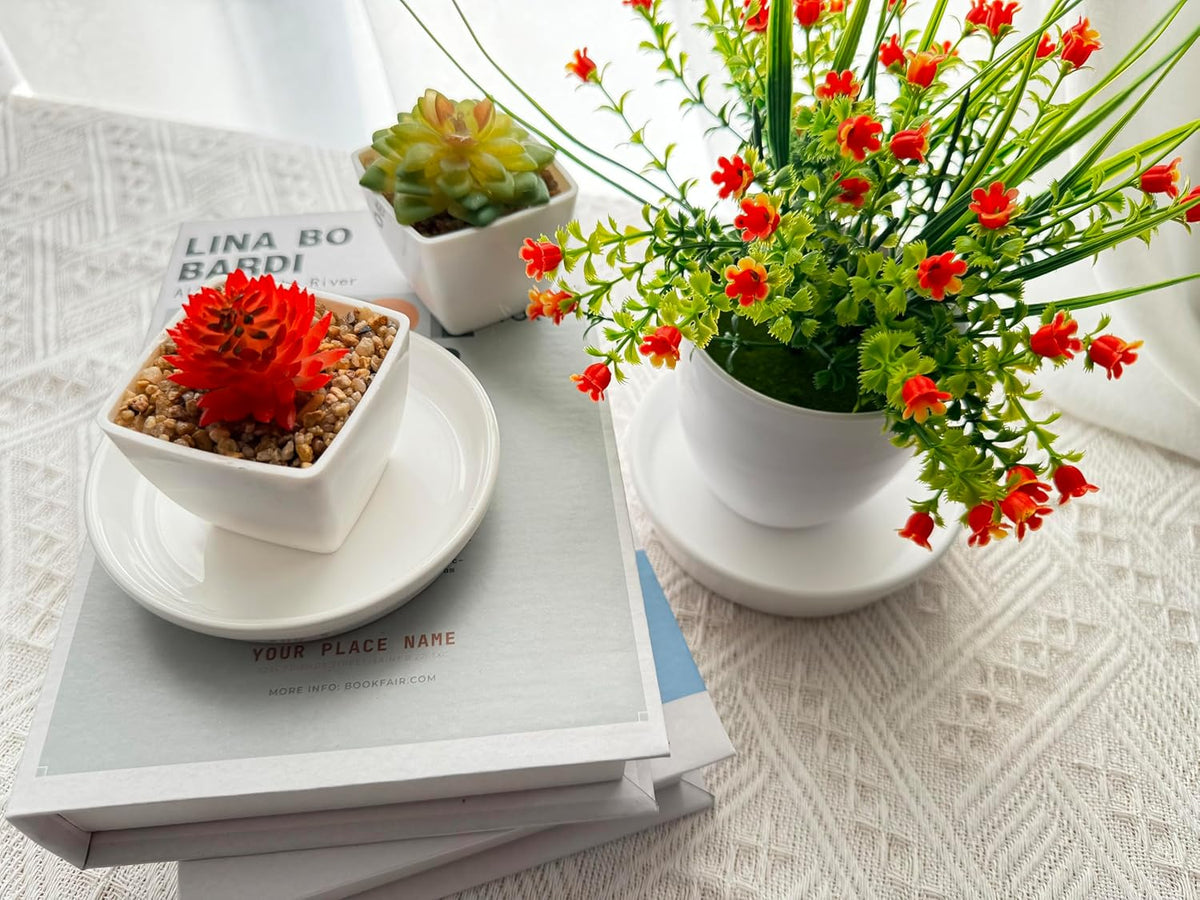 4 Pack of Plant Saucer, 5 inch Glazed Ceramic Plant Tray, Deep Drainage Tray for 4 Inch Flower Pot,Plant Dish Plate to Catch Water for Indoor & Outdoor