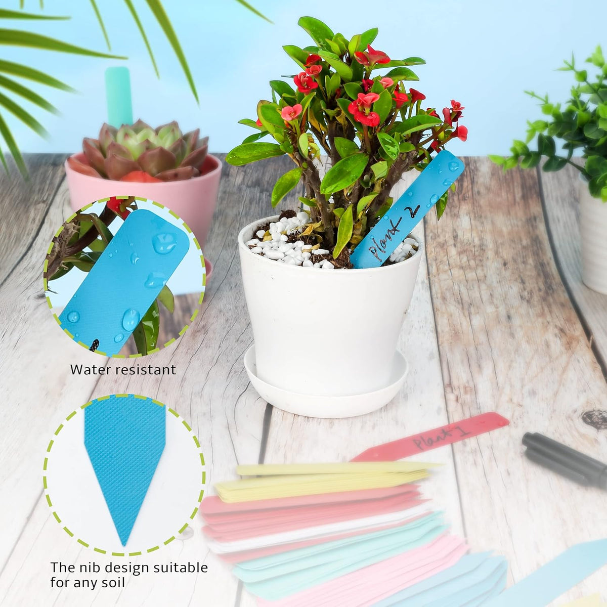 Plant Labels 300Pcs 4 Inch Plastic Plant Name Tags for Seedlings Garden Labels Markers Nursery Plant Tags Seed Labels for Outdoor Garden Plant Label Stakes with Permanet Marking Pen (Mix-Color)