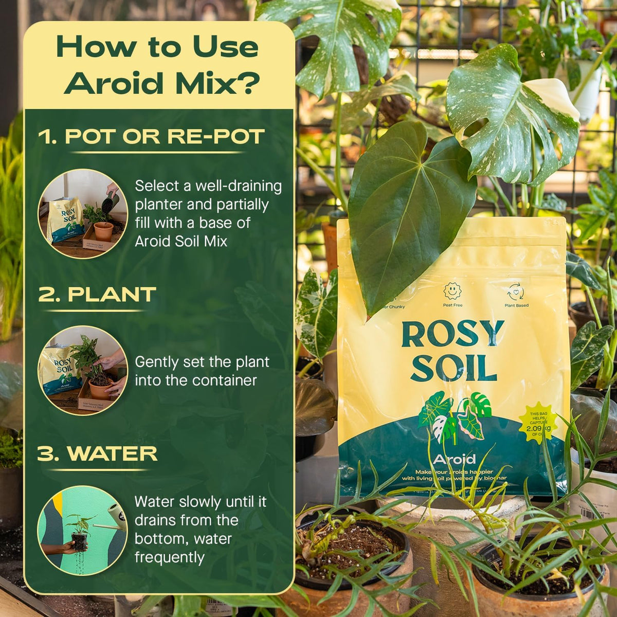 Rosy Soil Aroid Soil Potting Mix - Peat-Free, Microbially Active Biochar Powered Soil for Aroids - Superior Aeration & Drainage for Aroid Plants - Ideal for Indoor Gardening - 4 Quarts