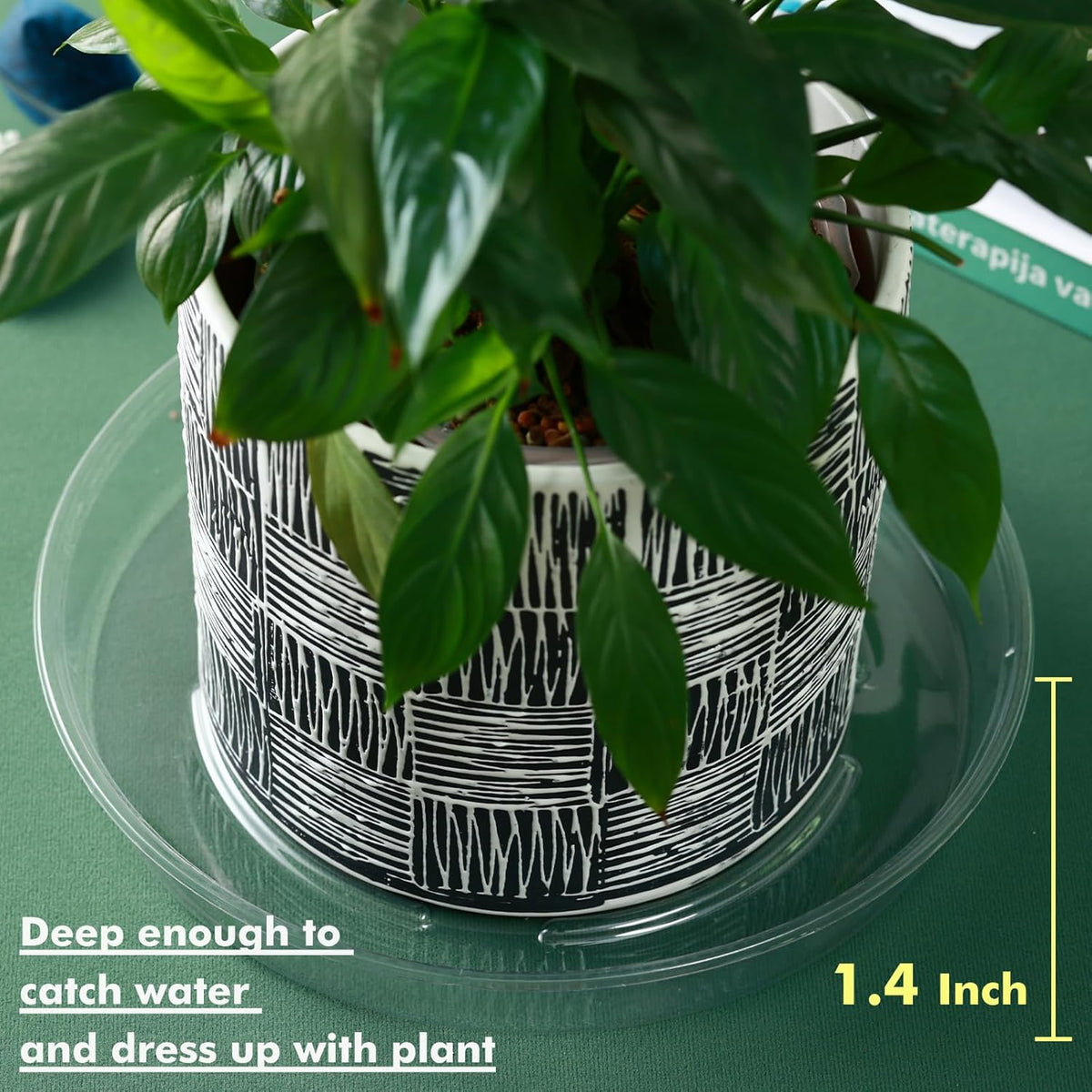 Plant Saucer 30 Pack Plant Trays for Pots 12 Inch Plastic Plant Saucers for Outdoors and Indoors Clear Drip Trays for Potted Plants Flower Pot Plates to Catch Water Plant Drainage Dishes No Holes