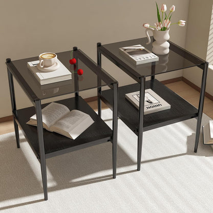 Set of 2 Rectangle Modern Glass End Table,Tempered Glass Top, Sofa Side Table with MDF Storage Shelf and Metal Legs,Modern Table for Living Room and Bedroom,Grey Glass/Black