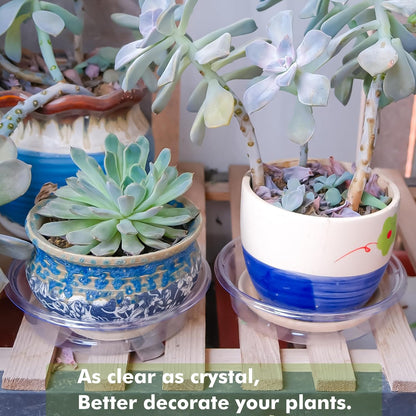 Plant Saucer 20 Pack Plant Trays for Pots 4 Inch Plastic Plant Saucers for Outdoors and Indoors Clear Drip Trays for Potted Plants Flower Pot Plates to Catch Water Plant Drainage Dishes No Holes