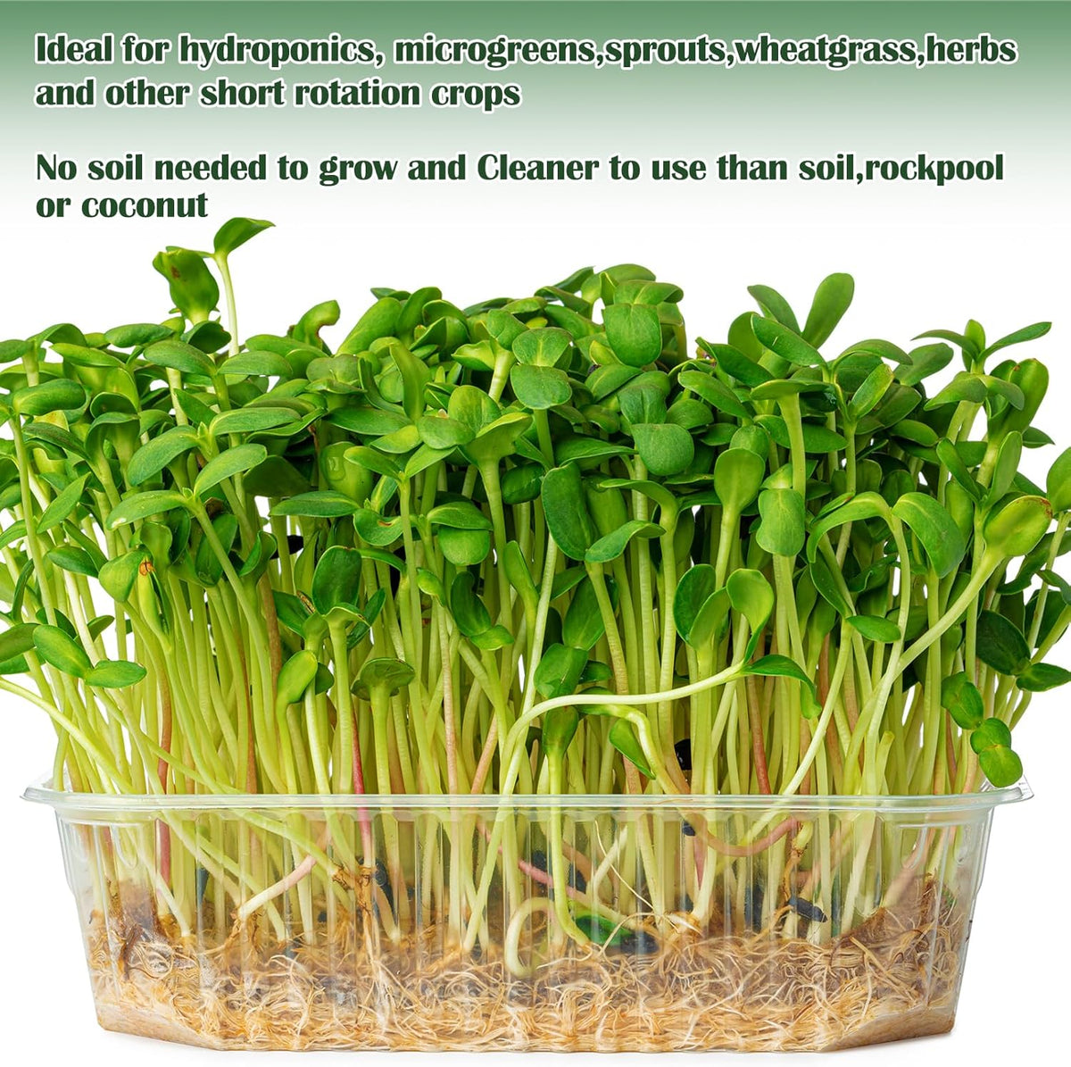 1Roll 10" X 236" Microgreen Growing Mat Hemp Fiber Grow Mats Microgreens Growing Kit Jute Hydroponic Pads Indoor Organic Production for Microgreen Starter Tray Wheatgrass Sprouts