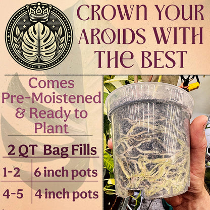 Craft Aroid Potting Mix- Elite Organic Alocasia, Philodendron, Monstera Soil Mix, Chunky, Well Draining Potting Soil for Indoor Plants, All Tropical Plants & Houseplants, Perlite & Peat Free 2QT