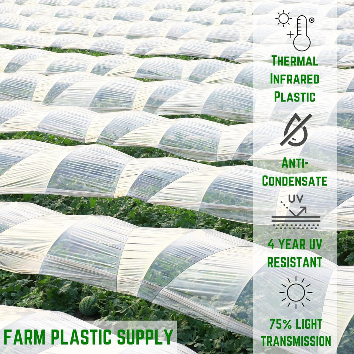 Farm Plastic Supply - Clear Coolmax Greenhouse Plastic Sheeting - 6 Mil - 4 Year UV Resistant Infrared Anti-Condensate Green House Covering Thermal Greenhouse Plastic 6 mil (50' x 50')