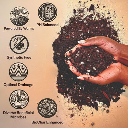 Craft Aroid Potting Mix- Elite Organic Alocasia, Philodendron, Monstera Soil Mix, Chunky, Well Draining Potting Soil for Indoor Plants, All Tropical Plants & Houseplants, Sustainable & Peat Free 1QT