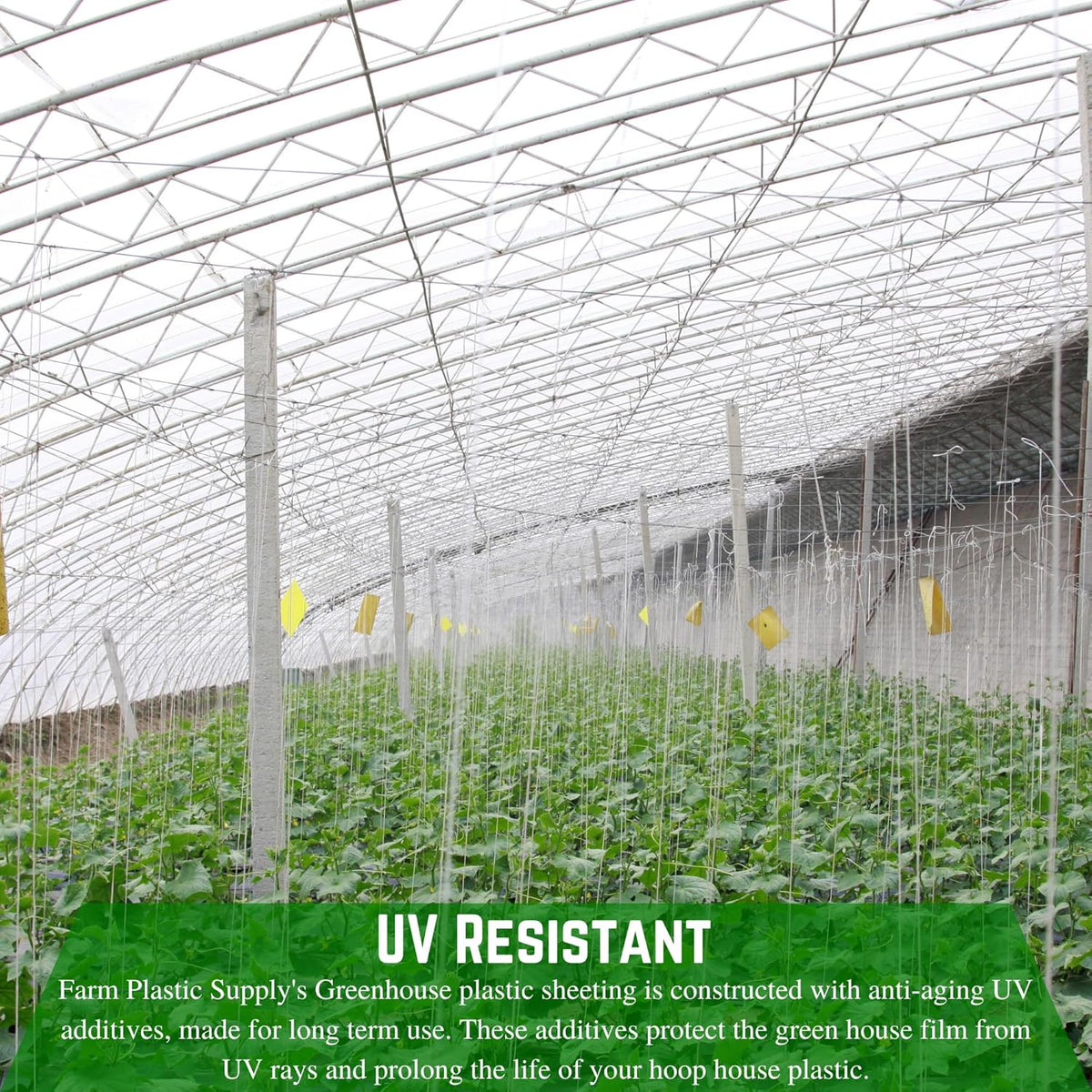 Farm Plastic Supply - String Reinforced 4 Year UV Resistant 10 mil Clear Greenhouse Plastic Sheeting - 4 Year UV Resistant Polyethylene Greenhouse Film, Hoop House Green House Cover (6' x 100')