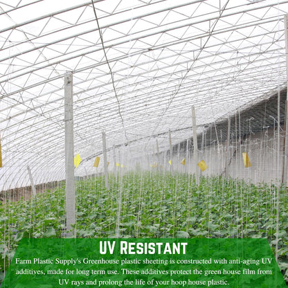 Farm Plastic Supply - String Reinforced 4 Year UV Resistant 10 mil Clear Greenhouse Plastic Sheeting - 4 Year UV Resistant Polyethylene Greenhouse Film, Hoop House Green House Cover (6' x 100')
